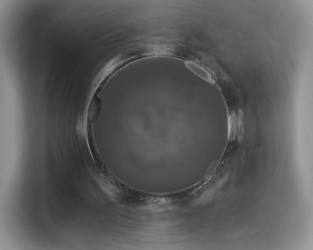 X0000115320195200911091204