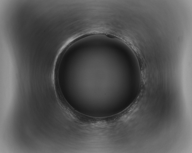 X0000115320196200911091204