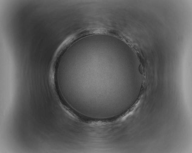 X0000115320197200911091204