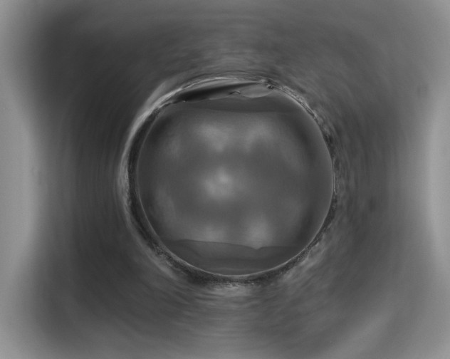 X0000115320198200911091204