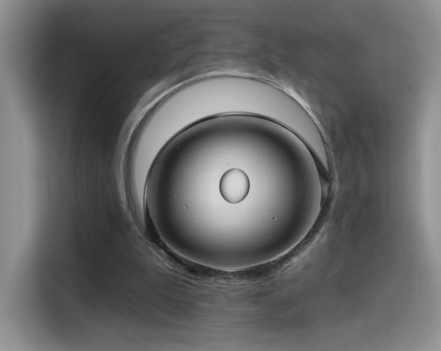 X0000115320199200911091204