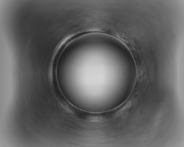 X0000115320200200911091204