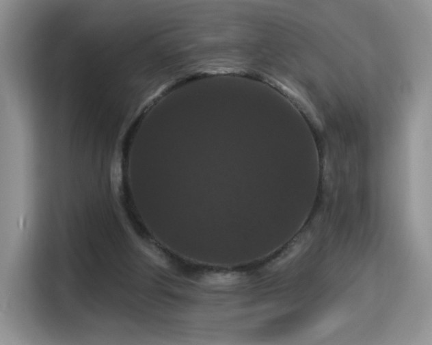 X0000115320202200911091204