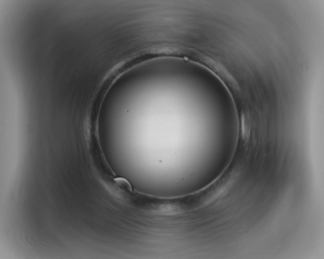 X0000115320204200911091204