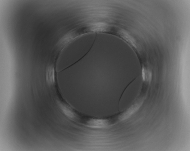 X0000115320205200911091204