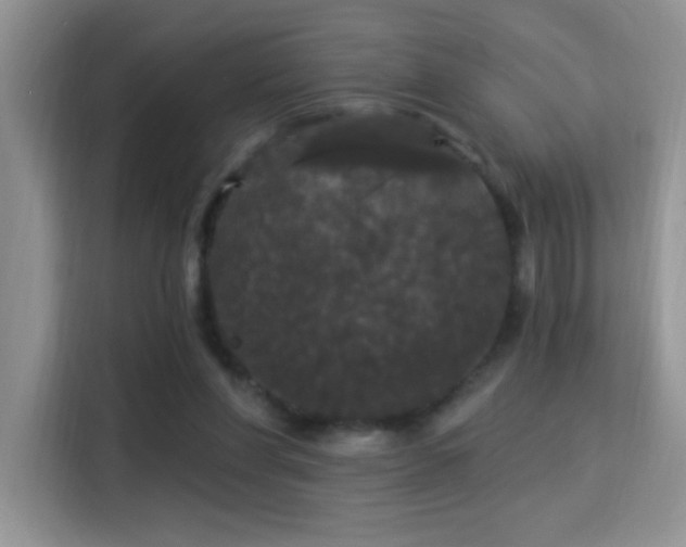 X0000115320206200911091204