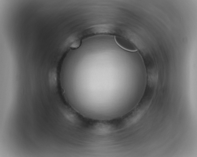 X0000115320207200911091204