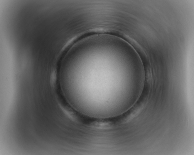 X0000115320208200911091204