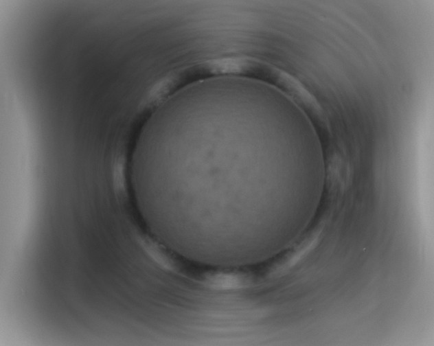 X0000115320209200911091204