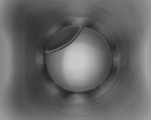 X0000115320211200911091204