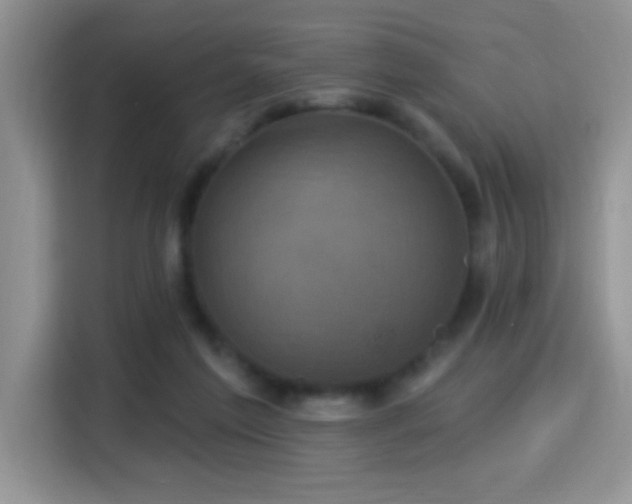 X0000115320213200911091204