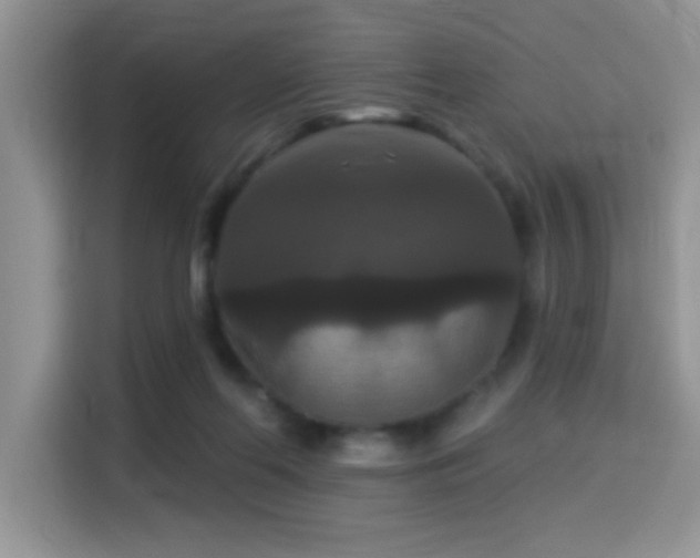 X0000115320214200911091204