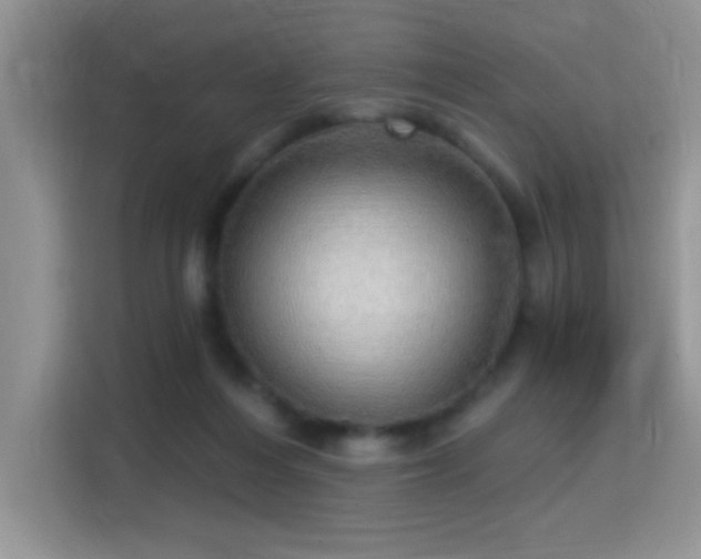 X0000115320216200911091204