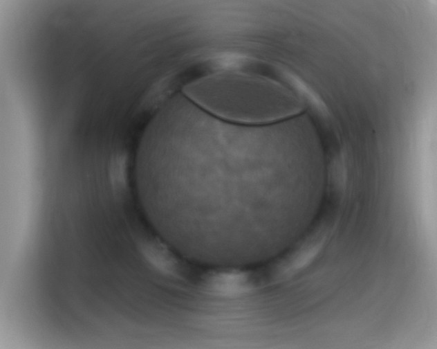 X0000115320217200911091204