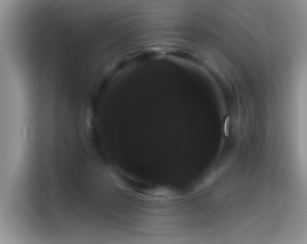 X0000115320219200911091204