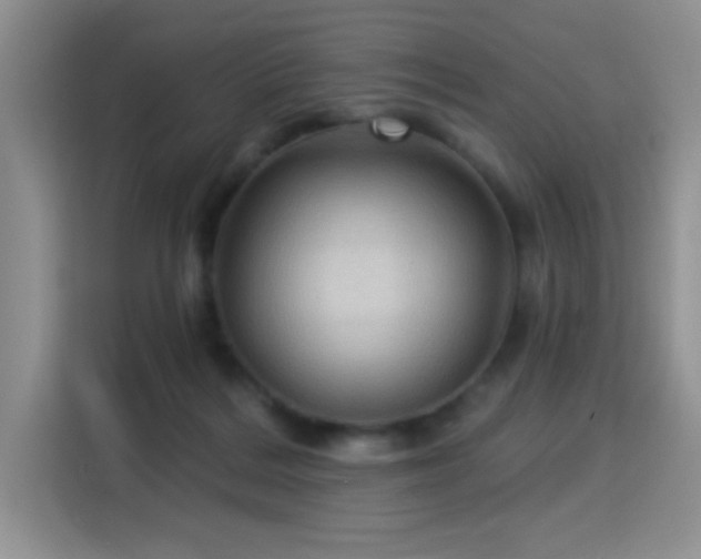 X0000115320220200911091204