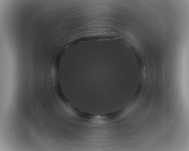 X0000115320222200911091204