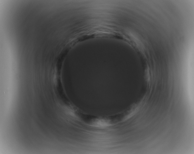 X0000115320223200911091204