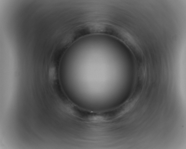 X0000115320224200911091204