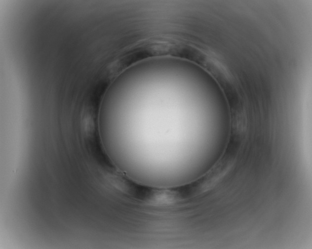 X0000115320226200911091204