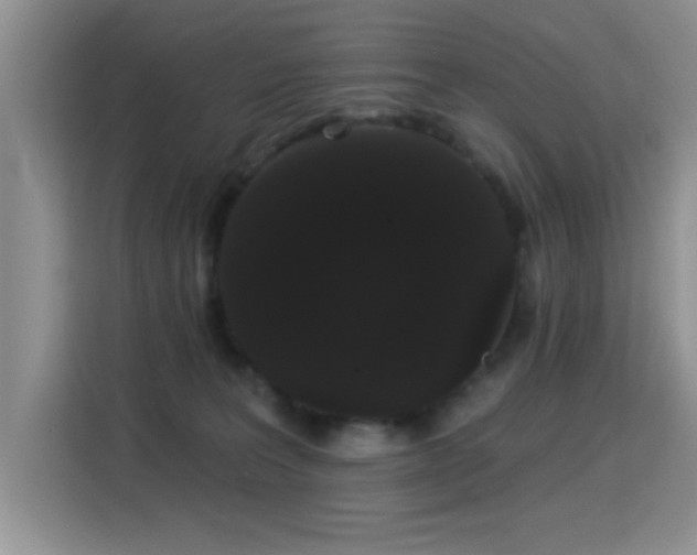 X0000115320227200911091204