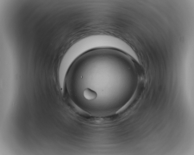 X0000115320229200911091203