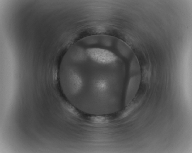 X0000115320230200911091203