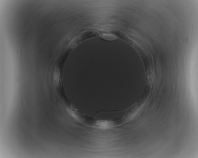 X0000115320231200911091203