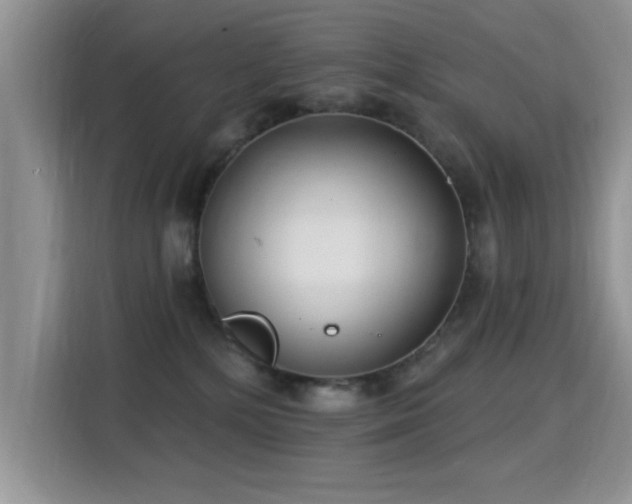 X0000115320232200911091203