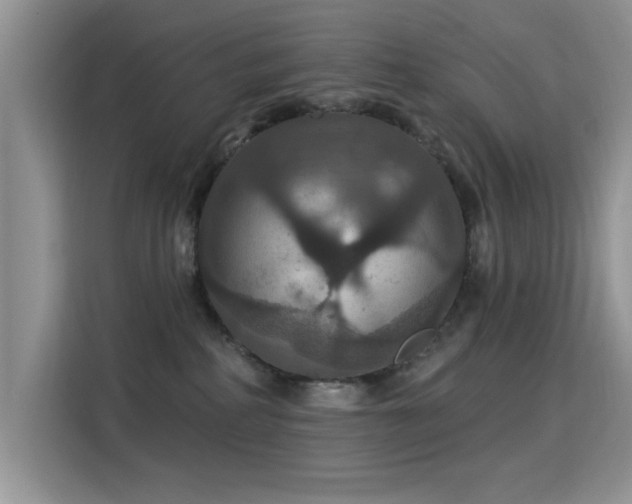 X0000115320234200911091203