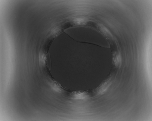 X0000115320235200911091203