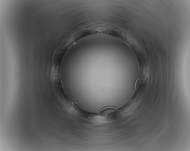 X0000115320236200911091203