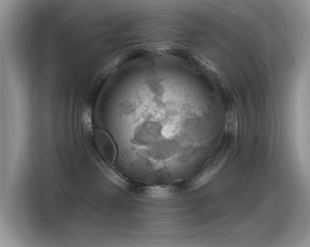 X0000115320238200911091203