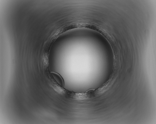 X0000115320240200911091203