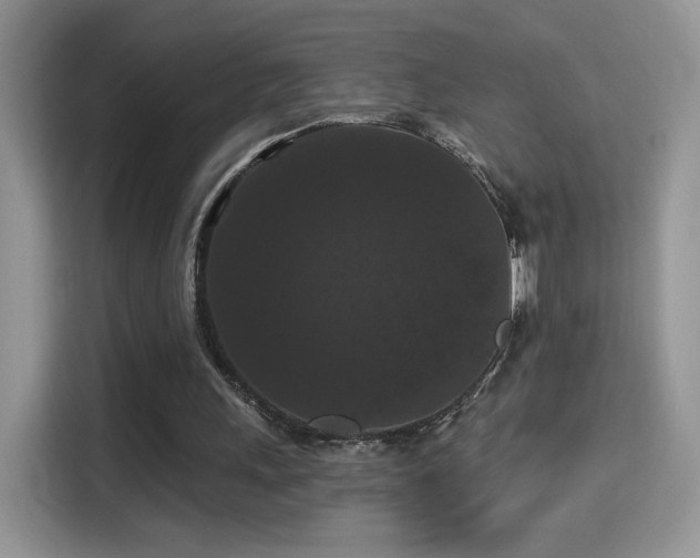 X0000115320243200911091203