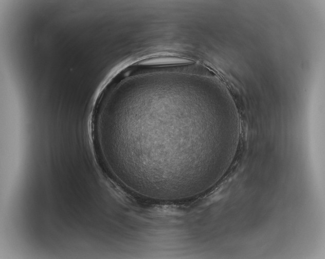 X0000115320244200911091203
