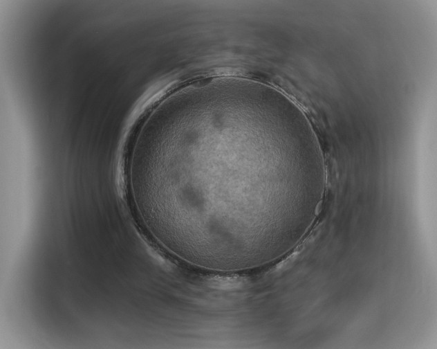 X0000115320245200911091203