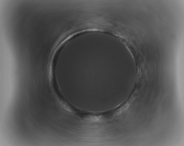 X0000115320247200911091203