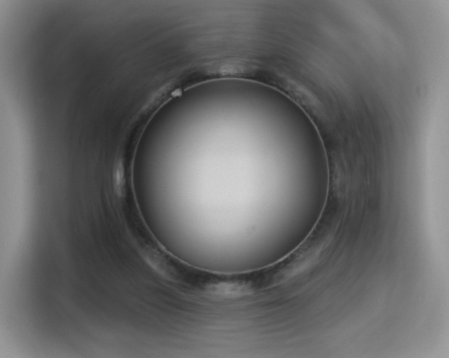 X0000115320251200911091203