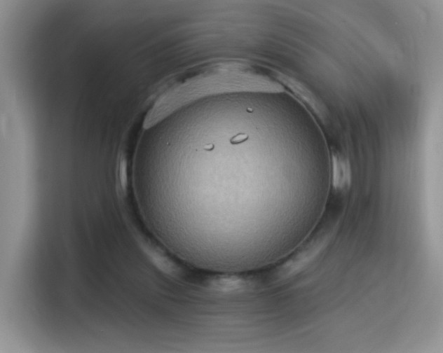 X0000115320253200911091203