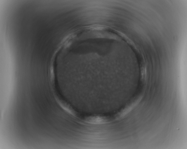 X0000115320254200911091203