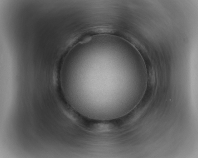 X0000115320255200911091203