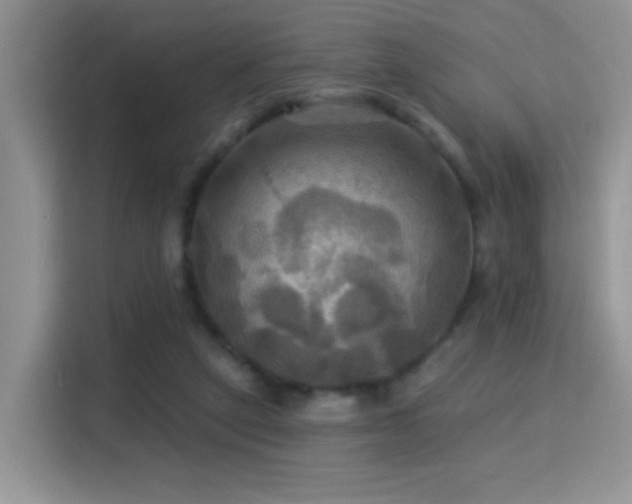 X0000115320257200911091203