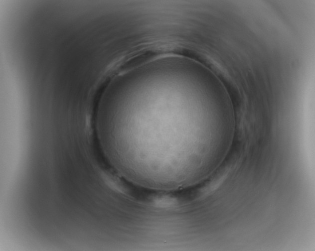 X0000115320258200911091203