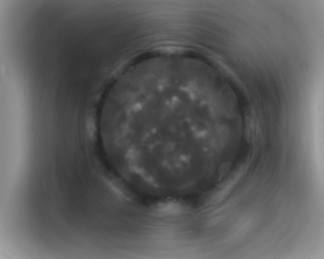 X0000115320259200911091203