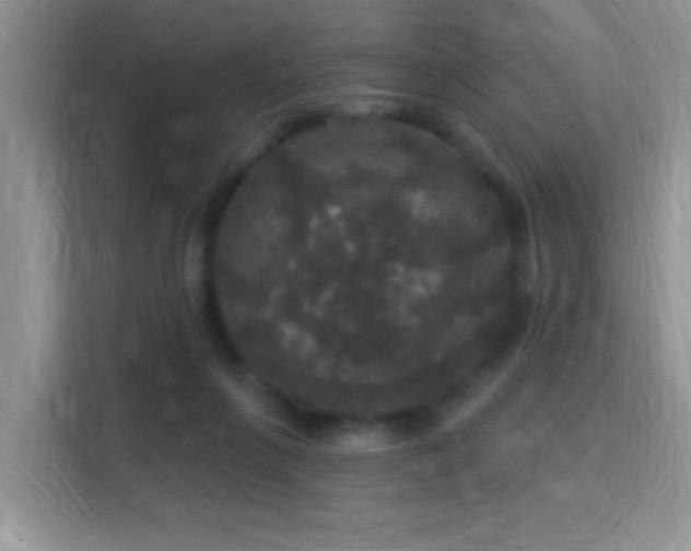 X0000115320263200911091203