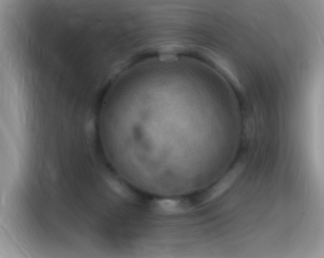 X0000115320265200911091203