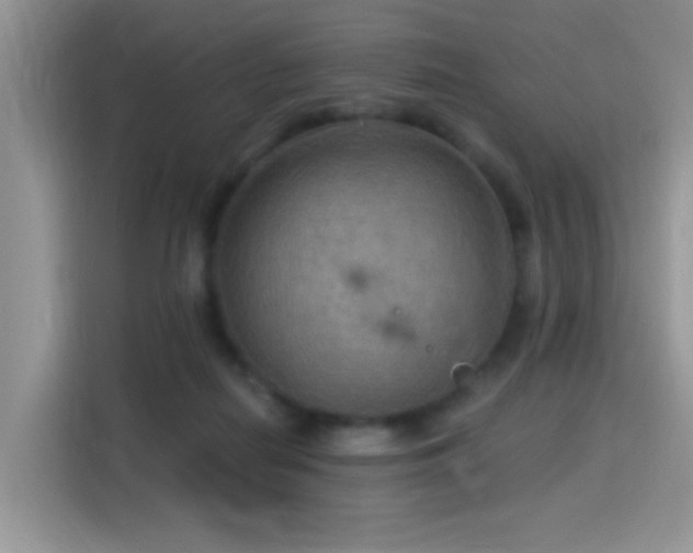 X0000115320266200911091203