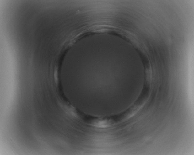 X0000115320267200911091203