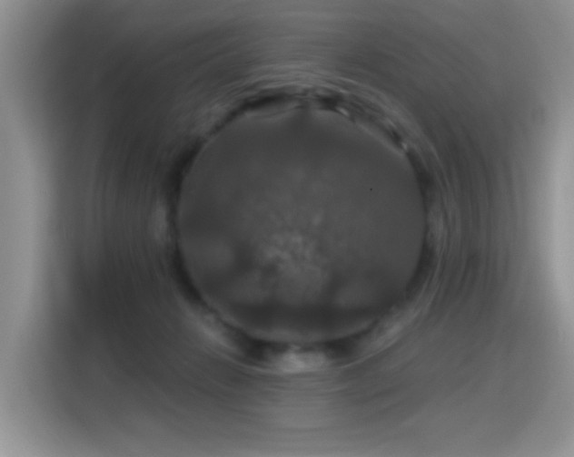 X0000115320270200911091203